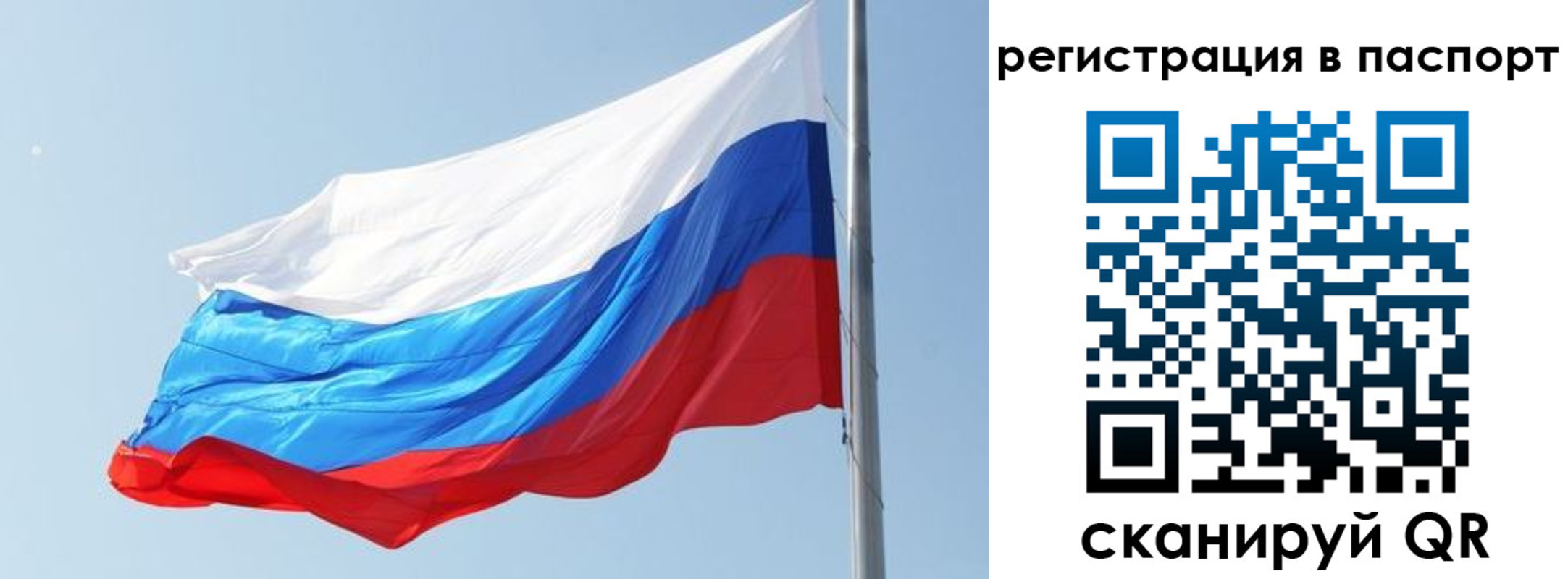 прописка в квартире в Заринске